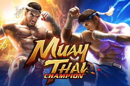 Muay Thai Champion