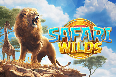 Safari Wilds